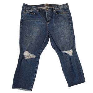 Torrid High Rise | Button Fly | Med-Wash | Classic Denim Jeans Women 20 SHORT